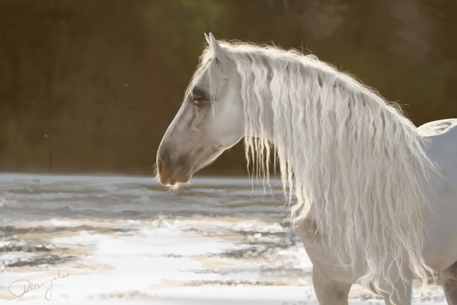 Ахалтекинская лошадь Изабелловая масть