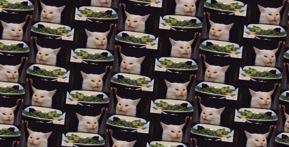 Кот в космосе