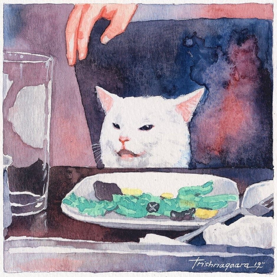 Кошка с арбузом на голове