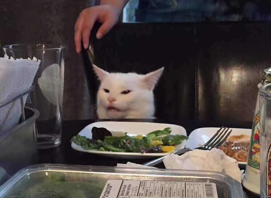 Кошка и брокколи