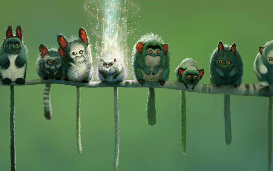 Котик ест Арбуз