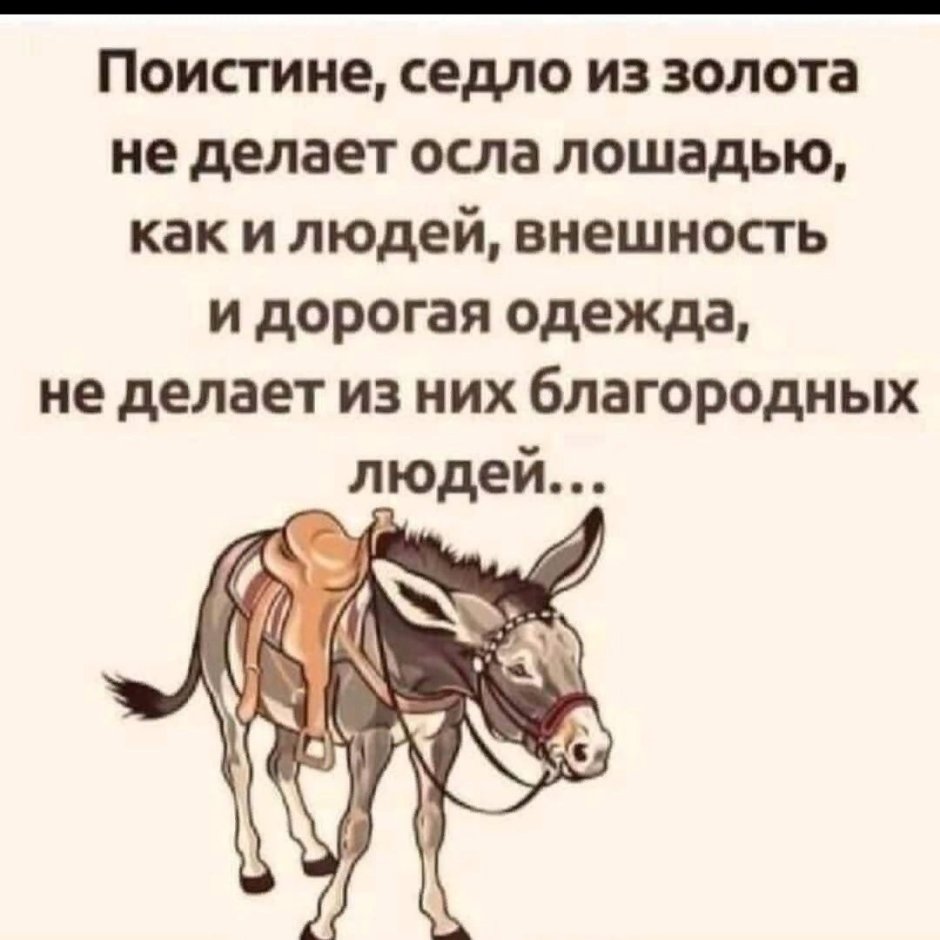 Поистине седло из золота не делает осла лошадью как и людей