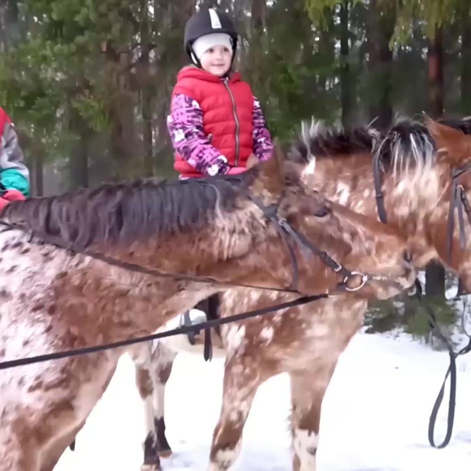 Ферма чудо ослик Крым