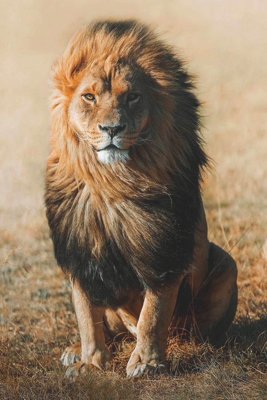 Весы напольные электронные Яромир Яр-4206 "Лев": 180 кг, 28*28см (10)