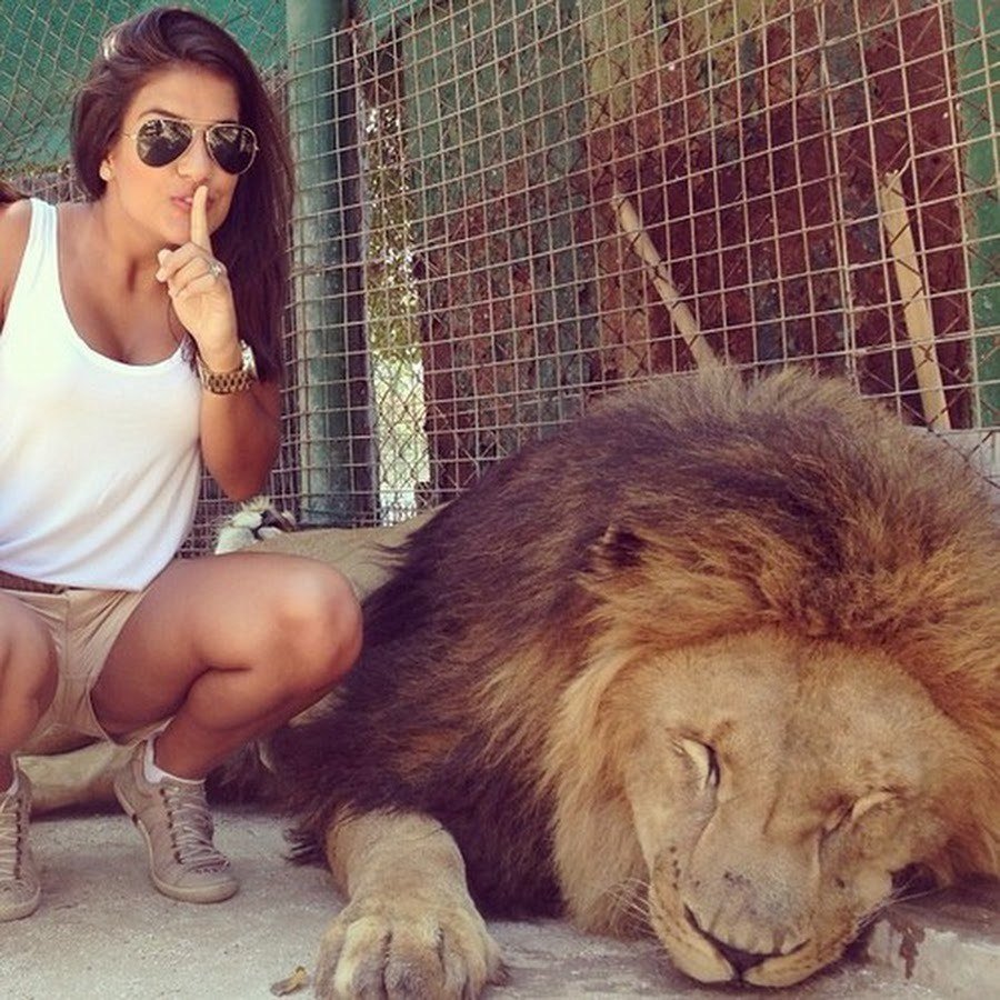 Величие Льва