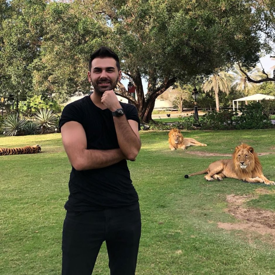 Черный Лев оскал