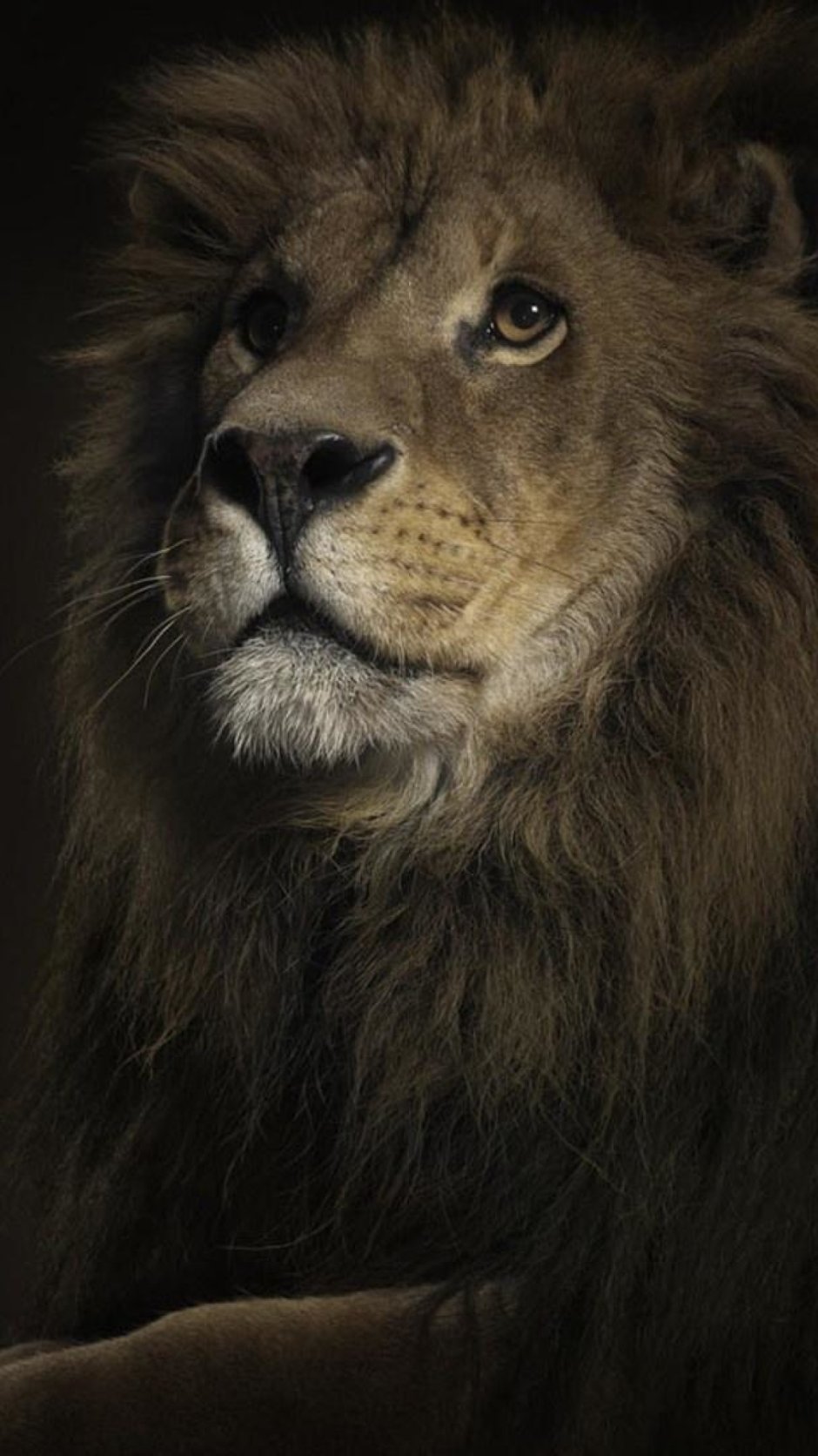 Олег Зубков Тайган