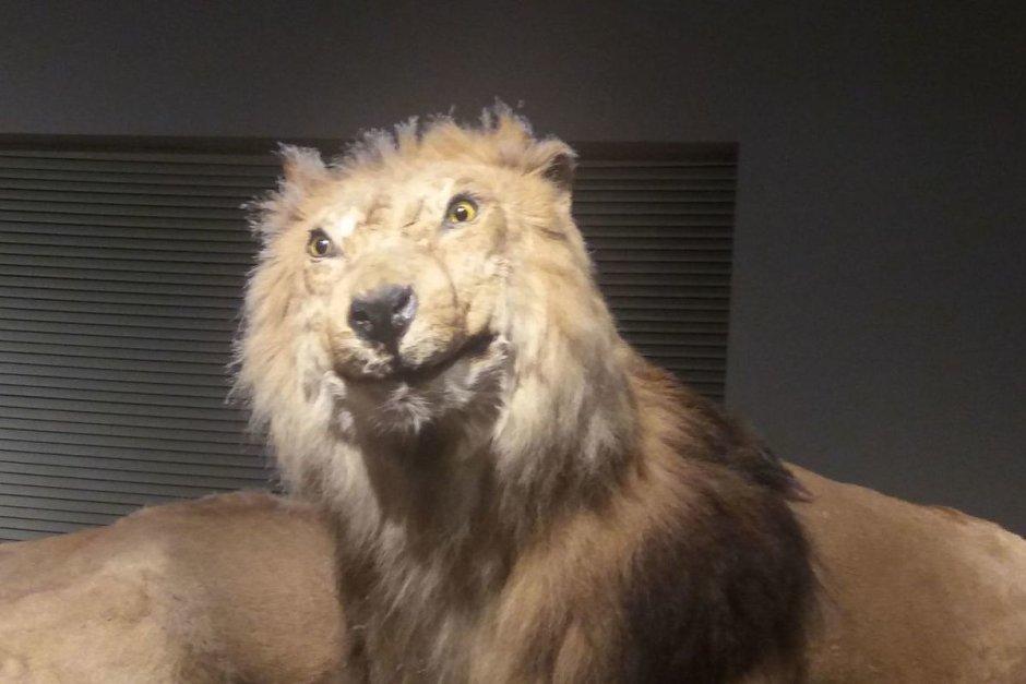 Все могу в укрепляющем меня Иисусе Христе