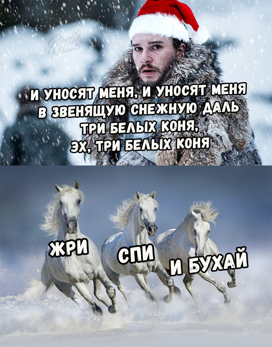 Лошади в снегу