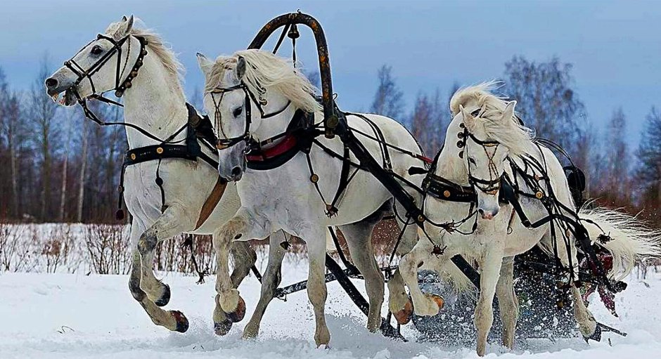 Бегущие лошади в живописи