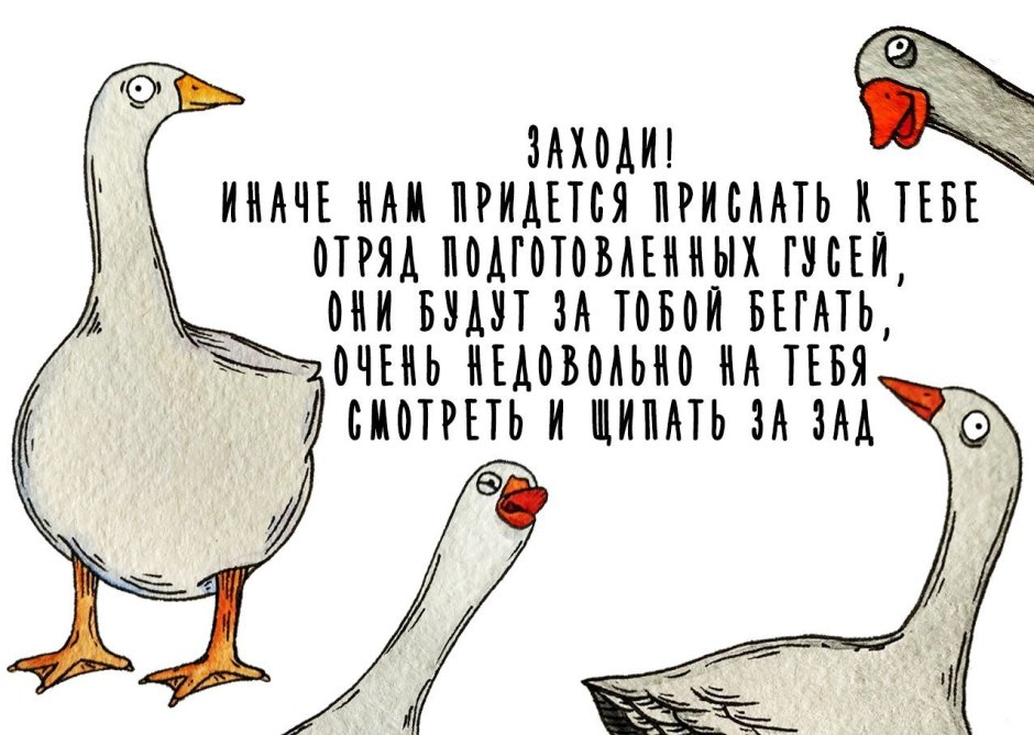 Гусь устал