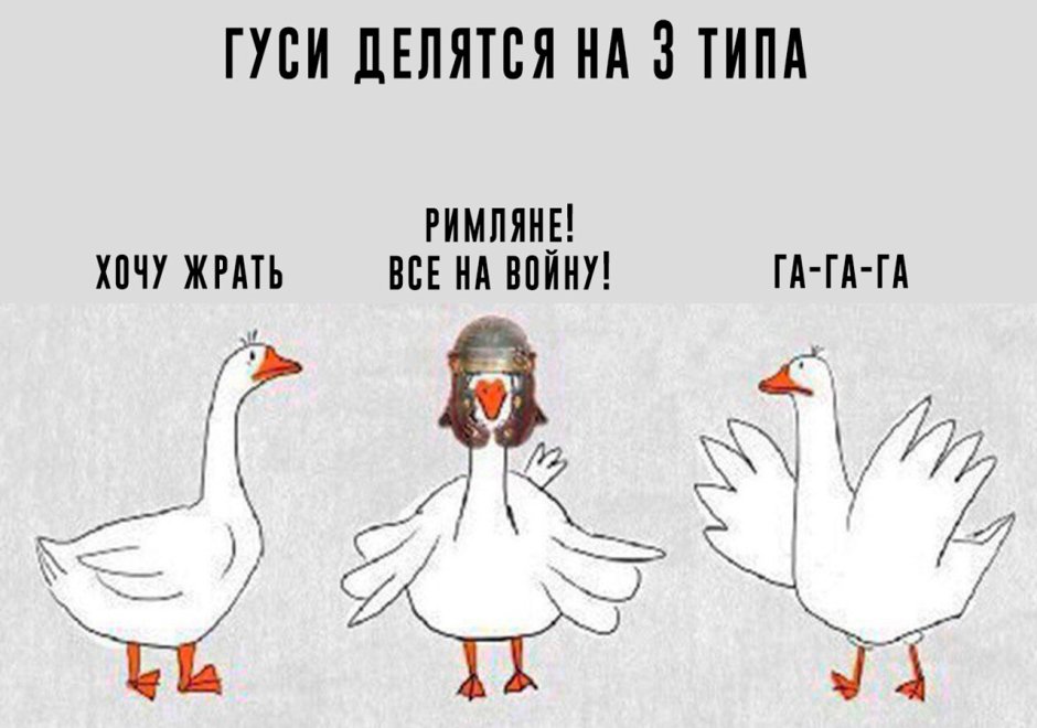 Гусь прикол