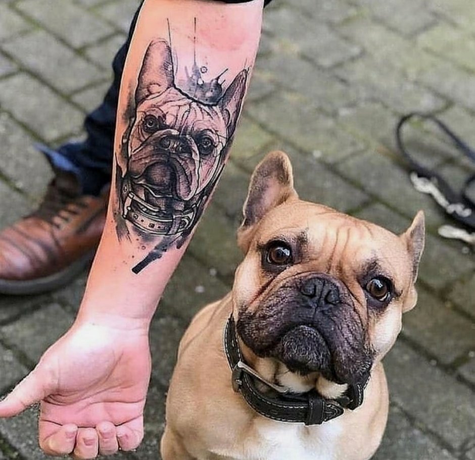 Тату бульдог