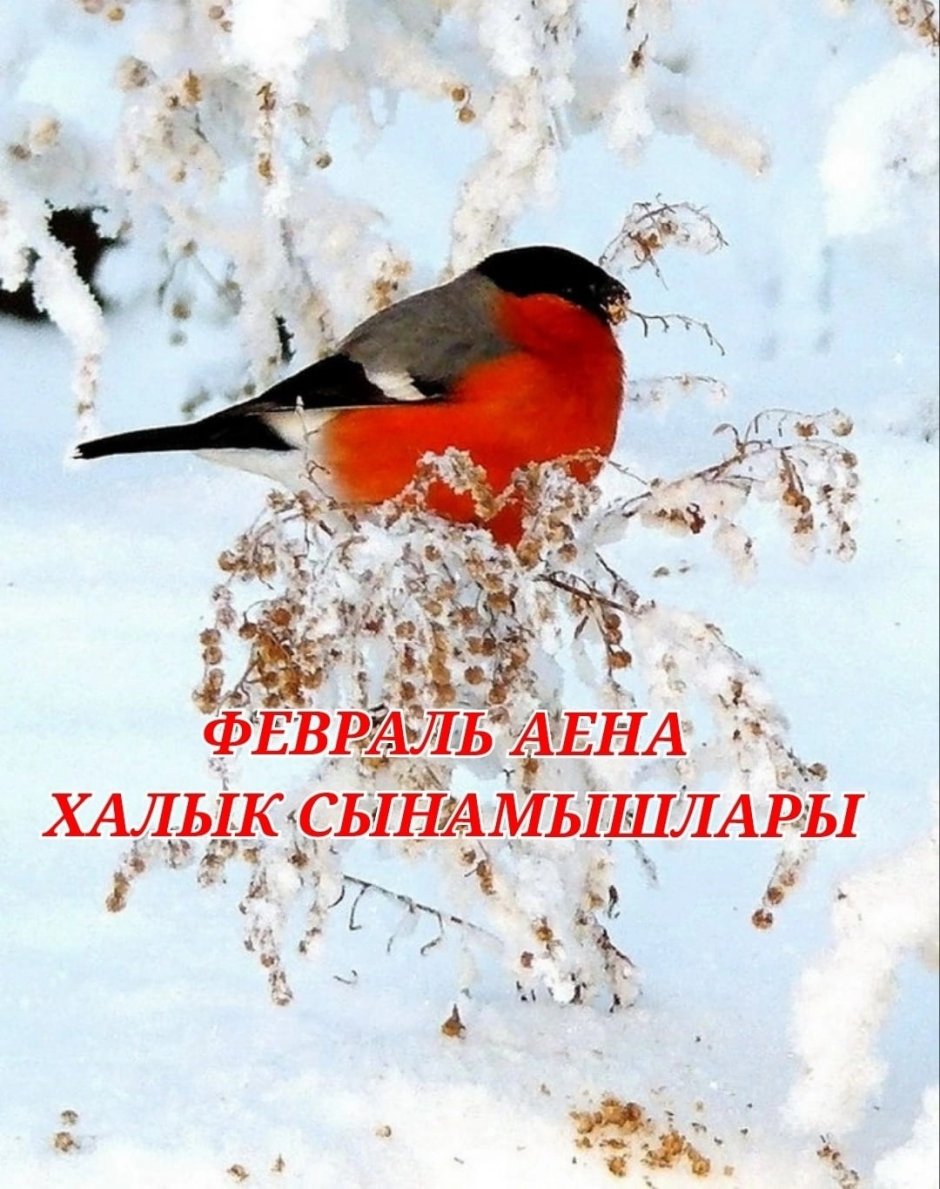 Ольга Снегирь