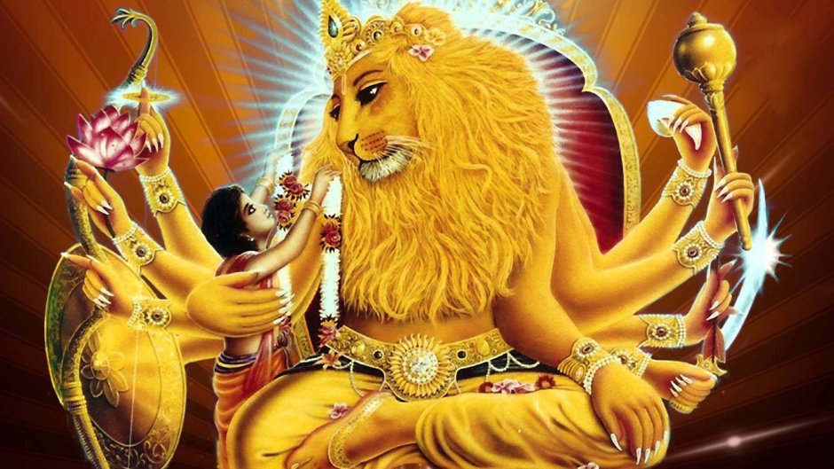 Lion Сенегальский Лев