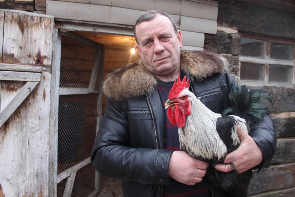 Дед с курами