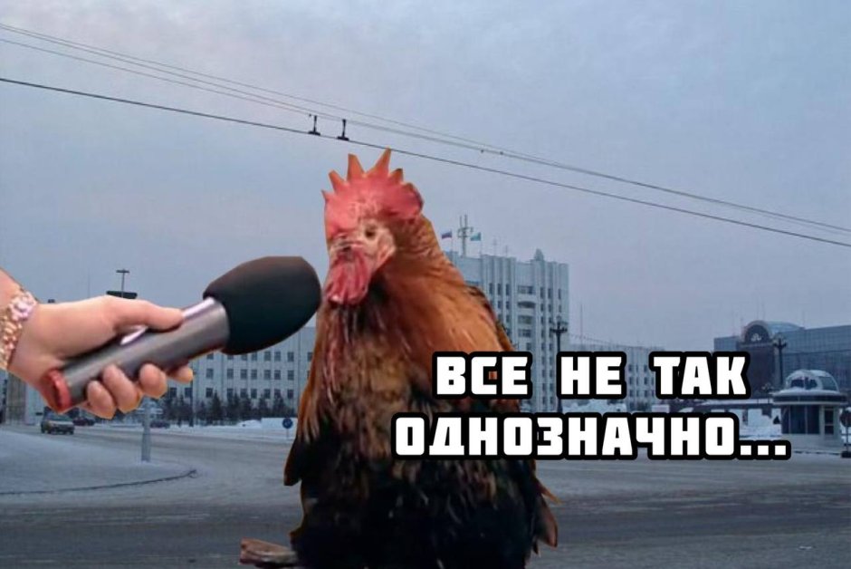 Петушок человек