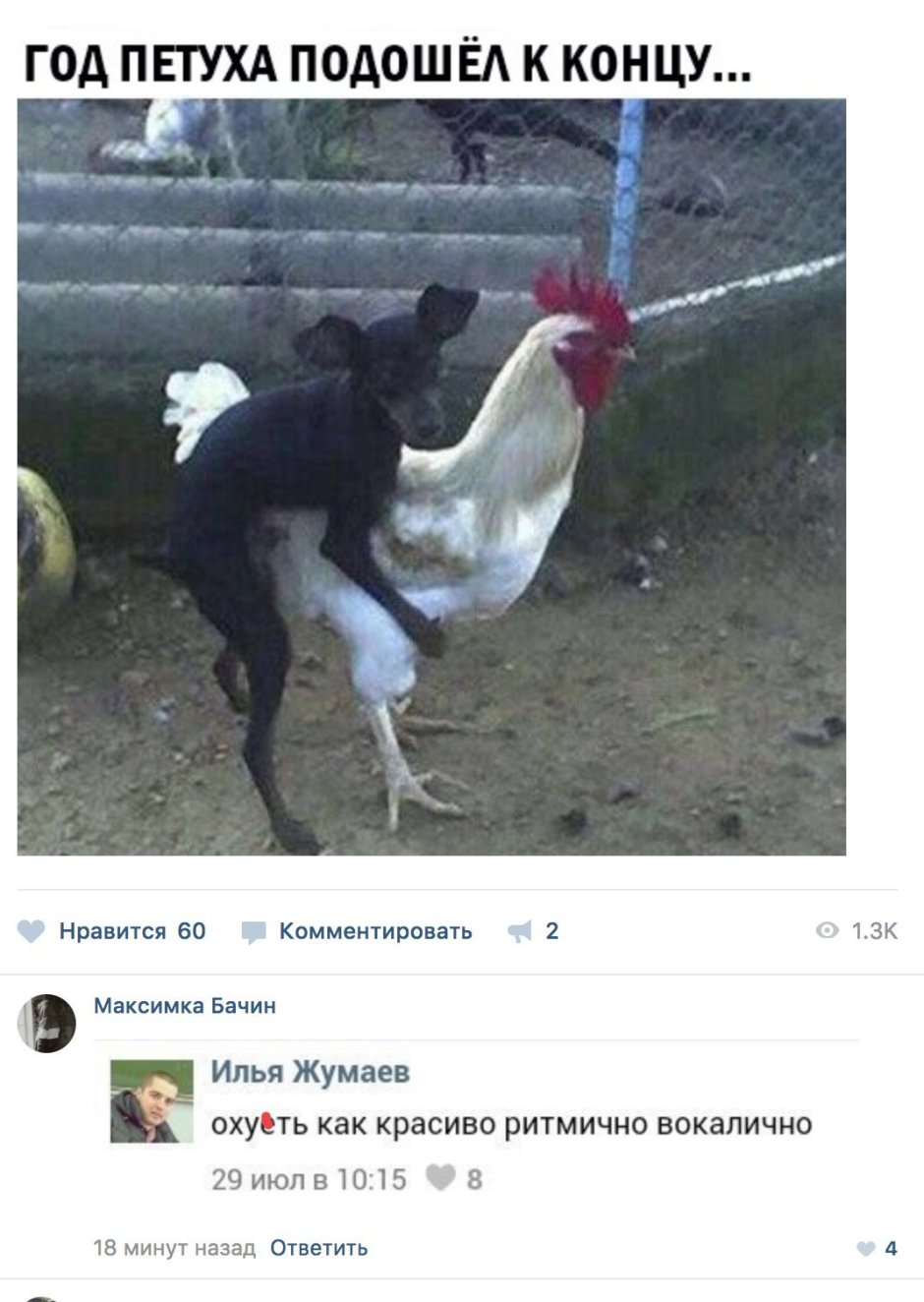 Мем про петуха и курицу