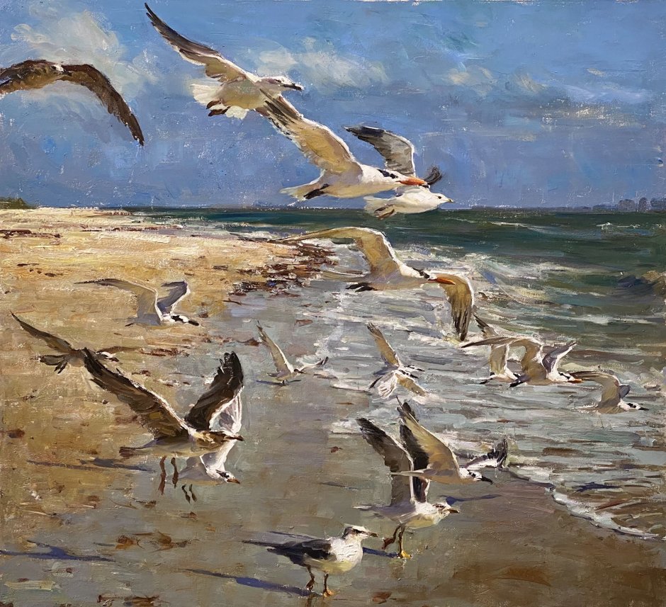 Чайки в полете