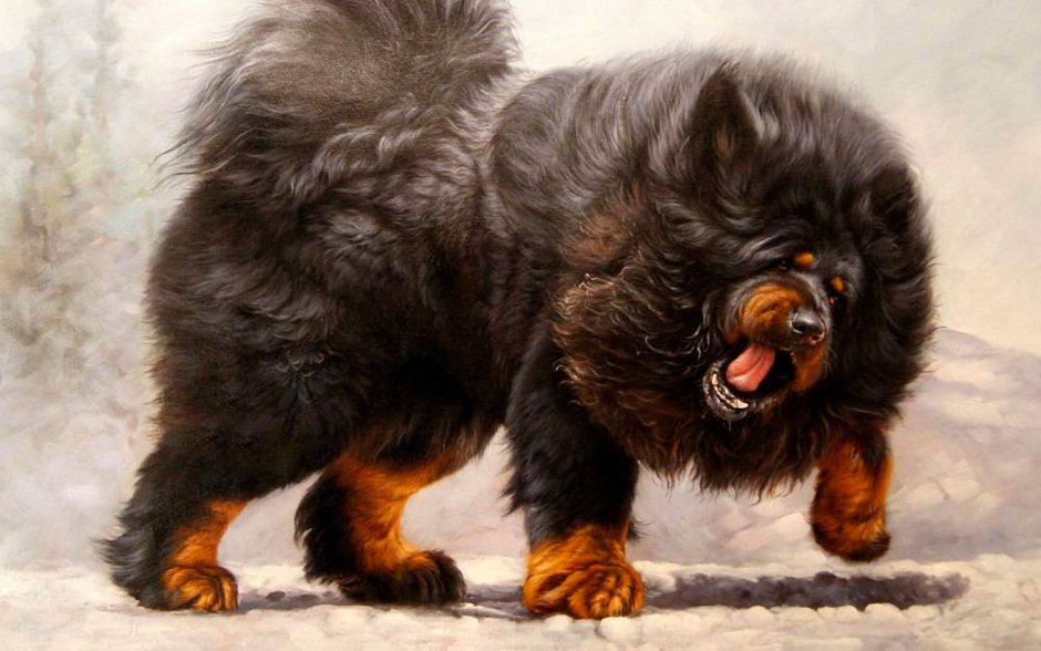 Обои на рабочий стол хаски