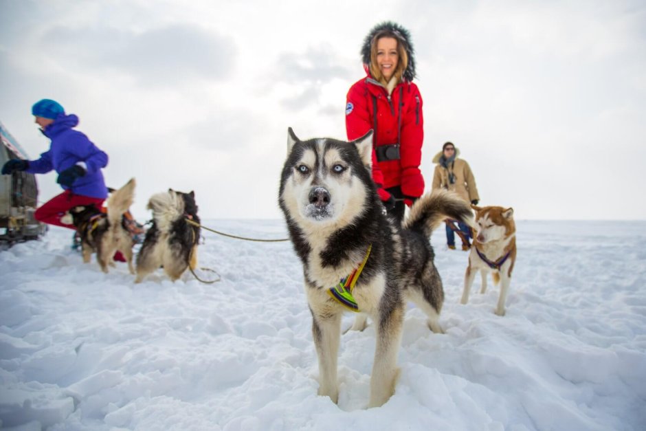 Листвянка Байкал нерпинарий