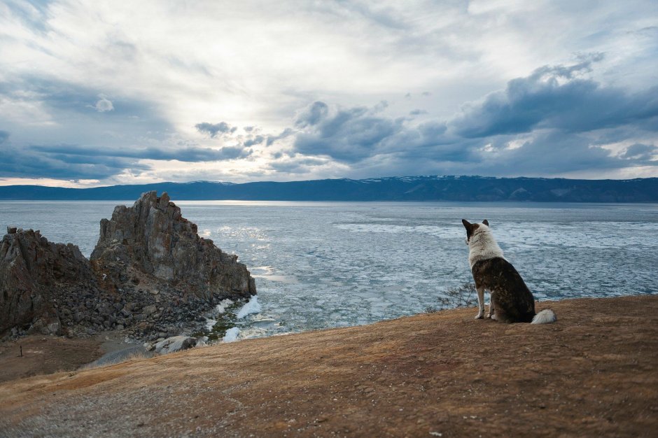 Байкальский центр ездового спорта