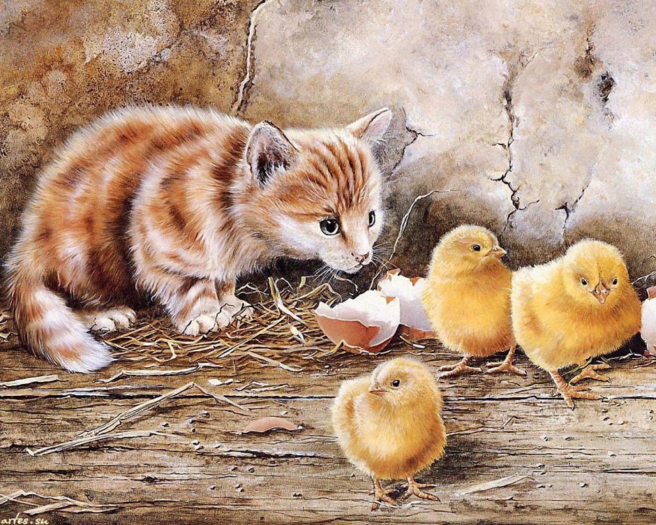 Кот и птичка