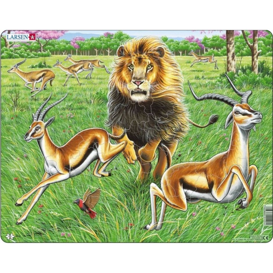 Король Лев мультфильм 1994 антилопа