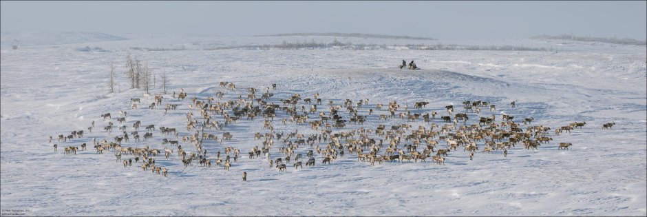 Нарьян-мар зима