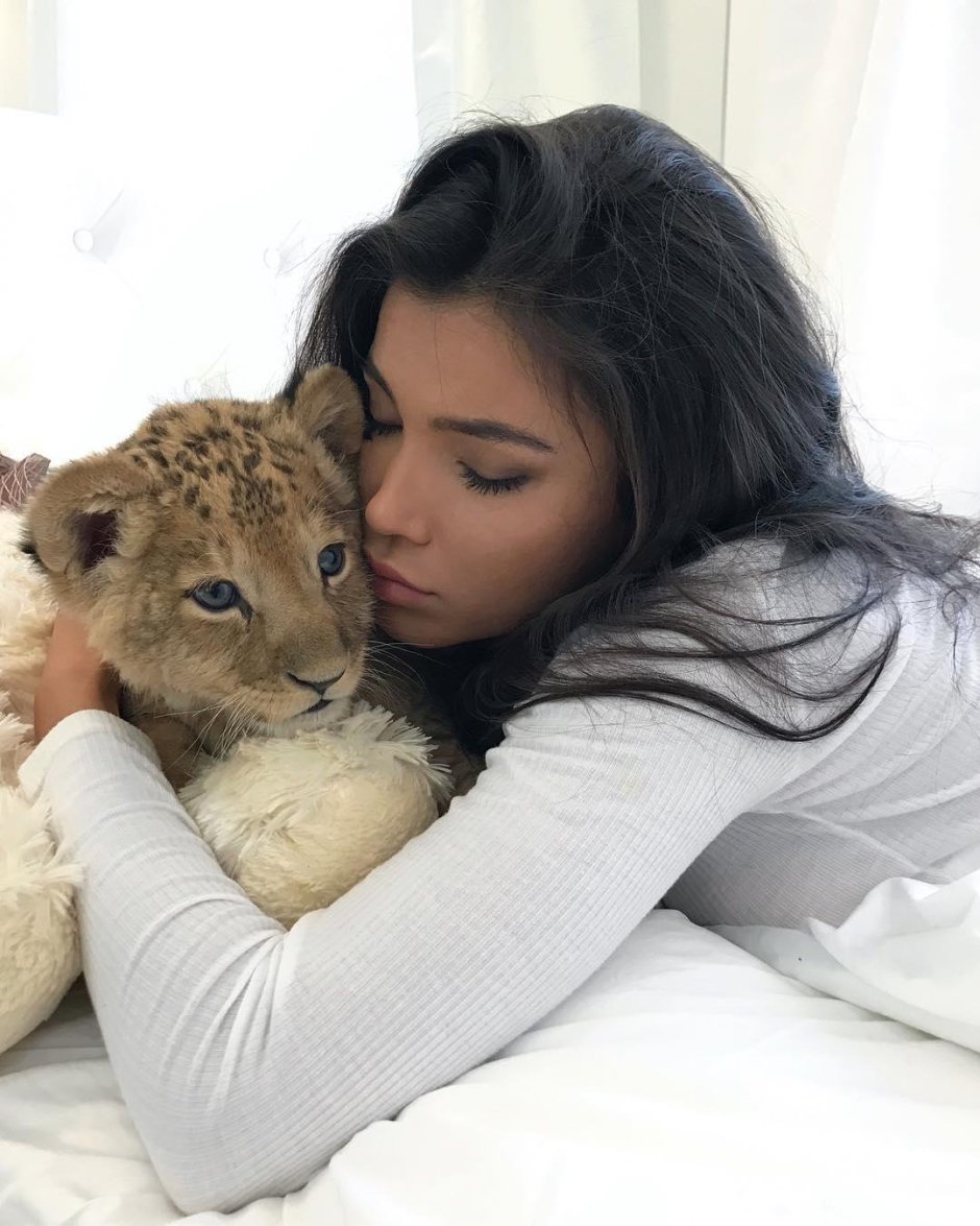 Спящий Львенок