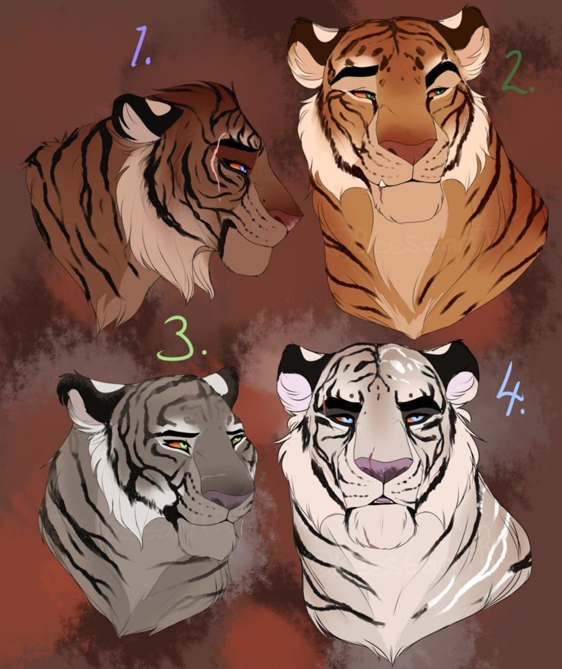 Волк и тигр