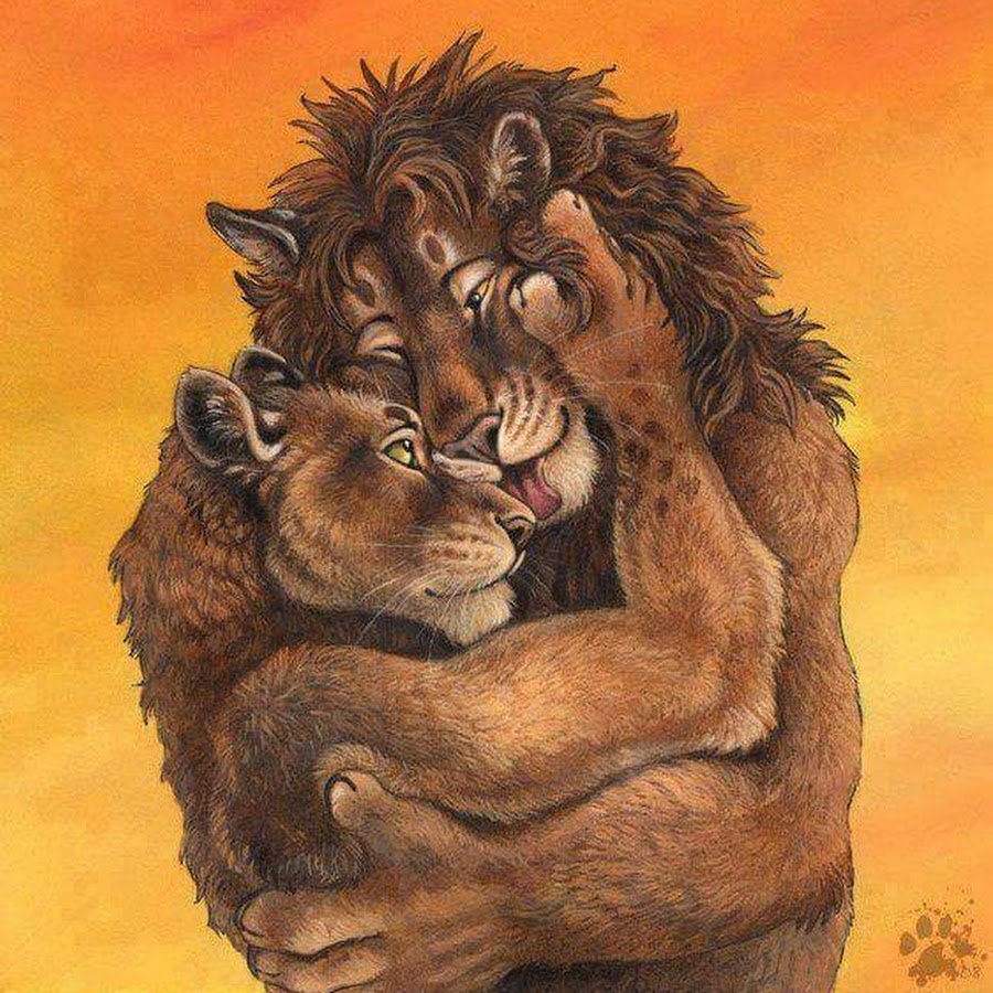 Львы обнимаются
