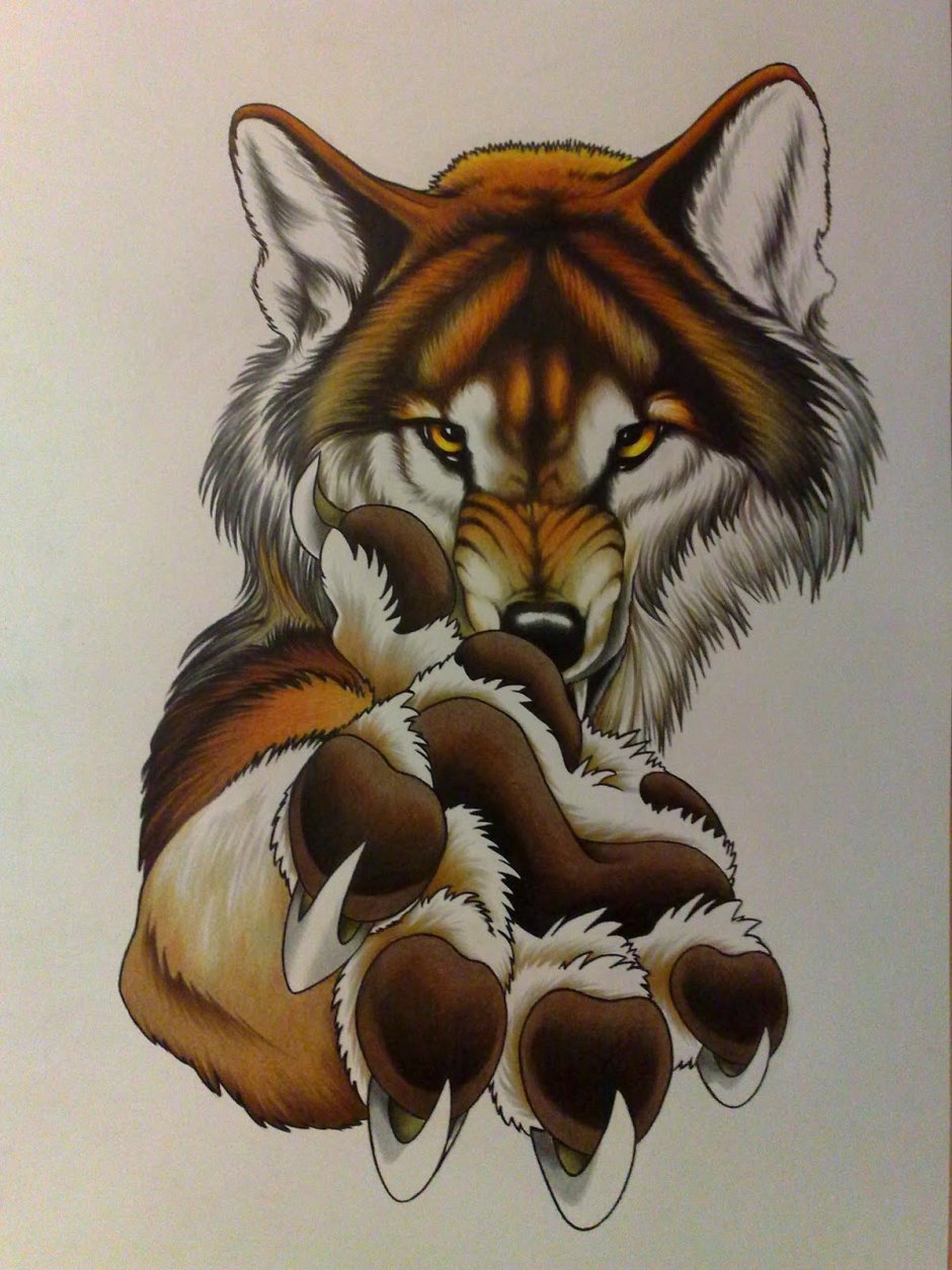 Разные рисунки Волков