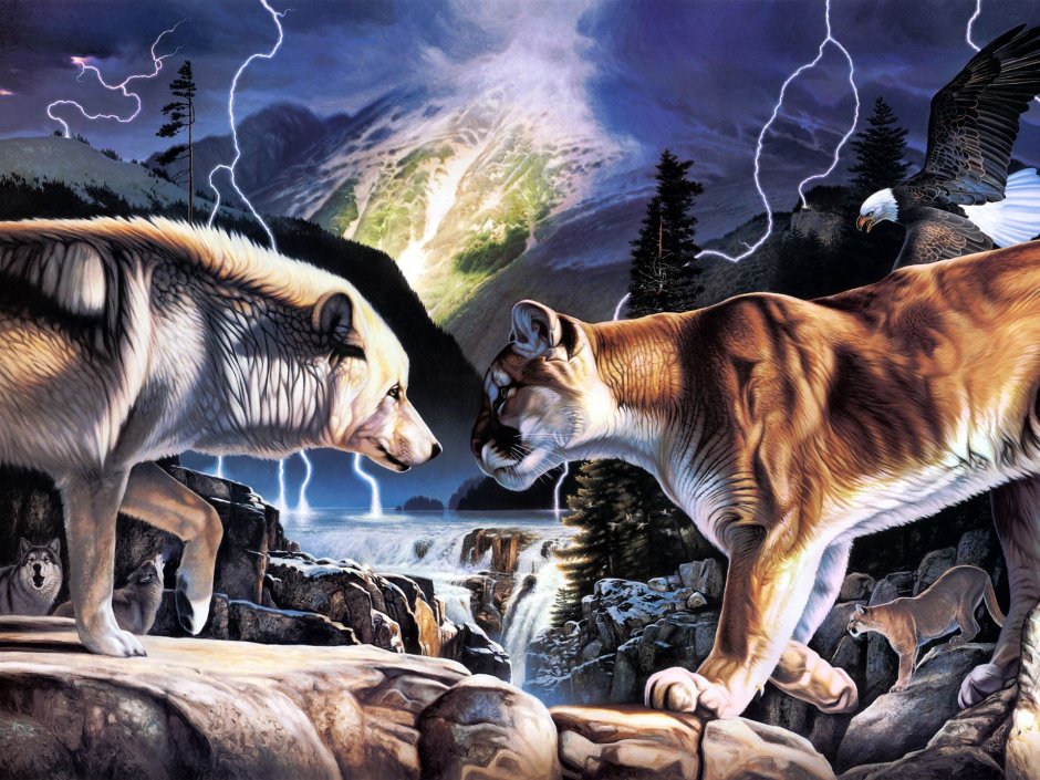 Тигр Лев и волк