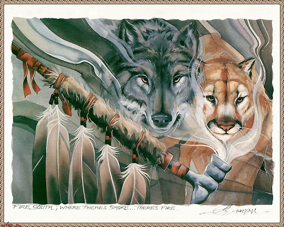 Джоди Бергсма бык