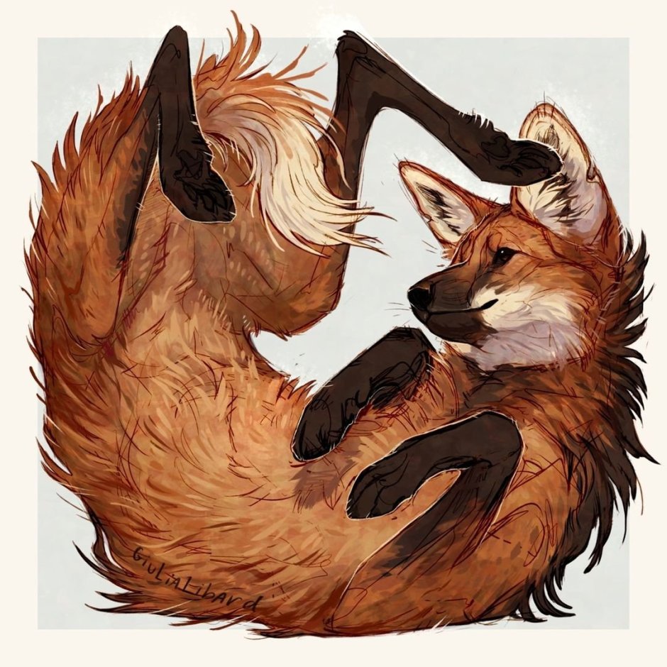 Furry Гривистый волк