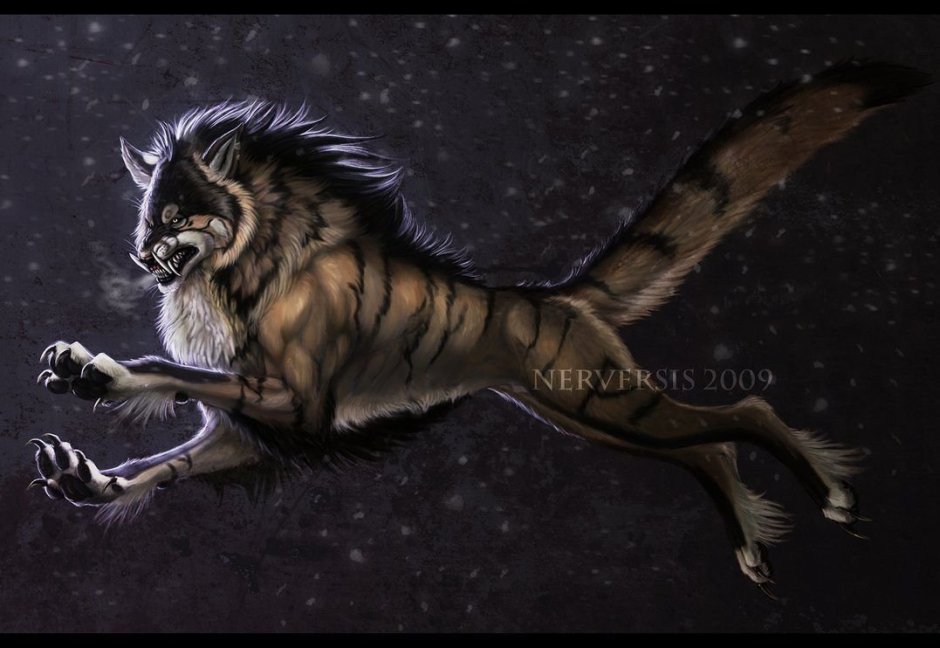 Волк и тигр гибрид