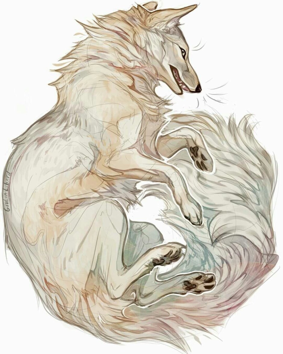 Волк и лиса арт