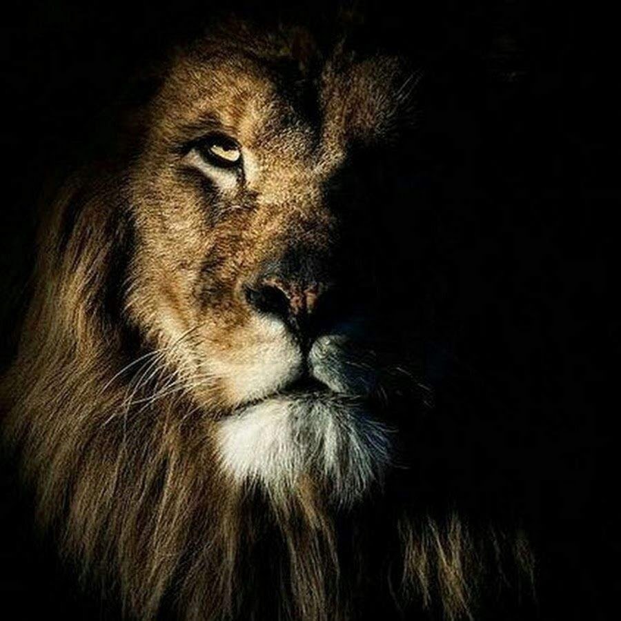 Лев Львович