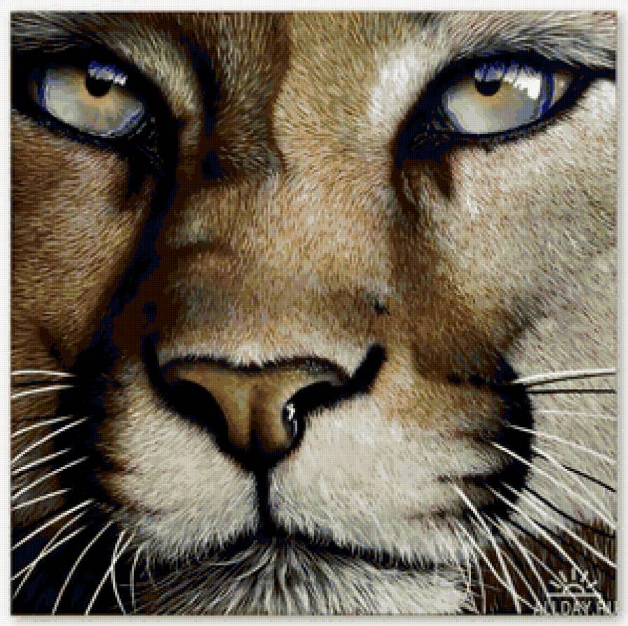 Лев на заставку