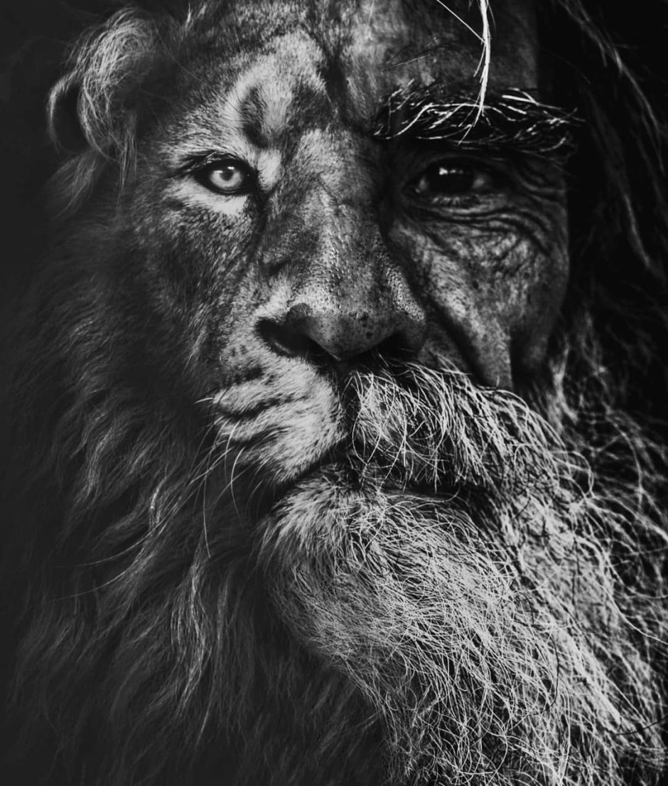 Зрачок Льва