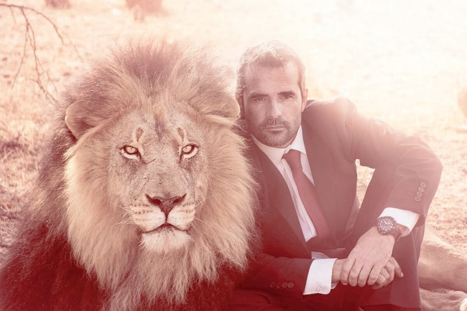 Кевин Ричардсон и львы