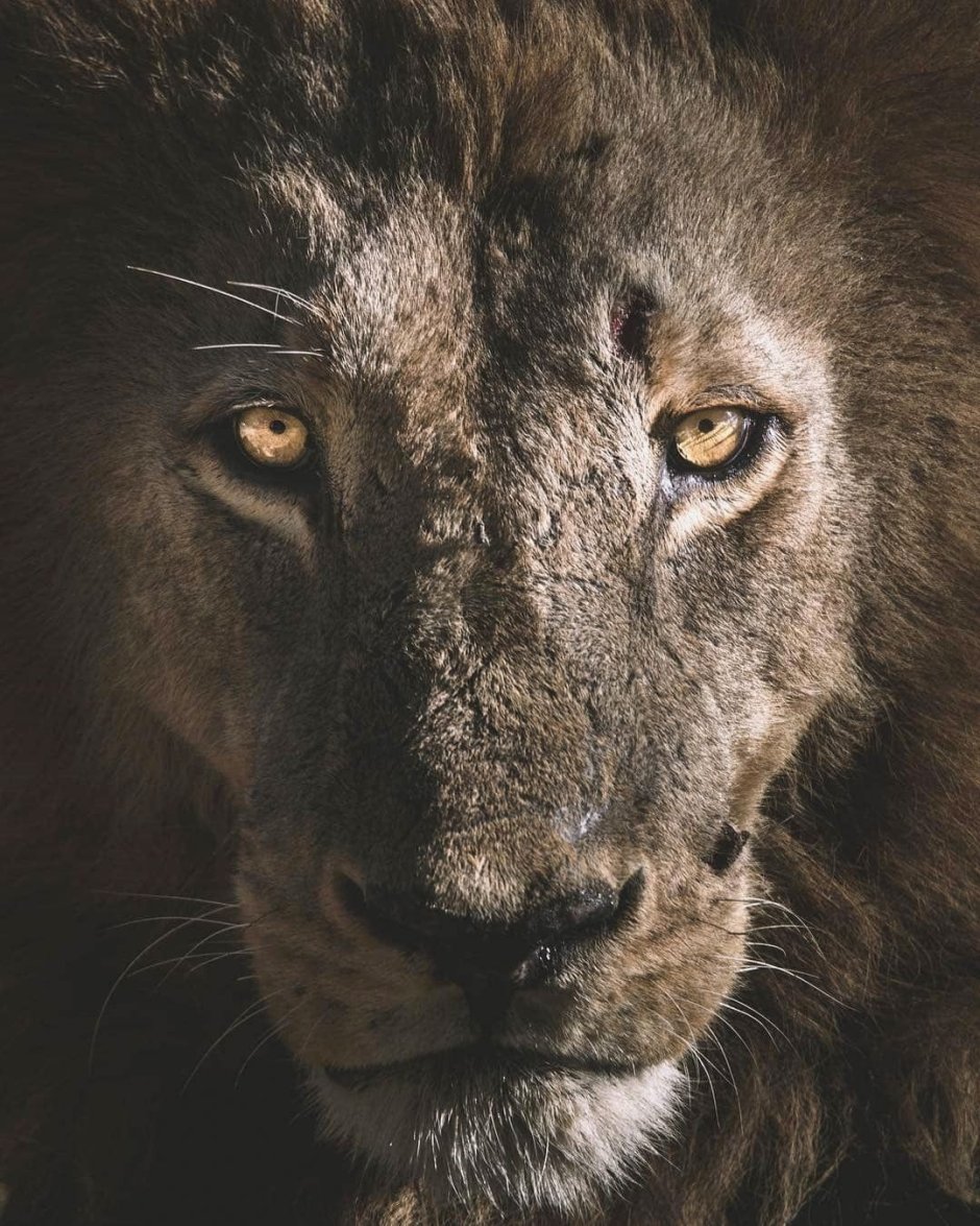 Спокойствие страшнее войны