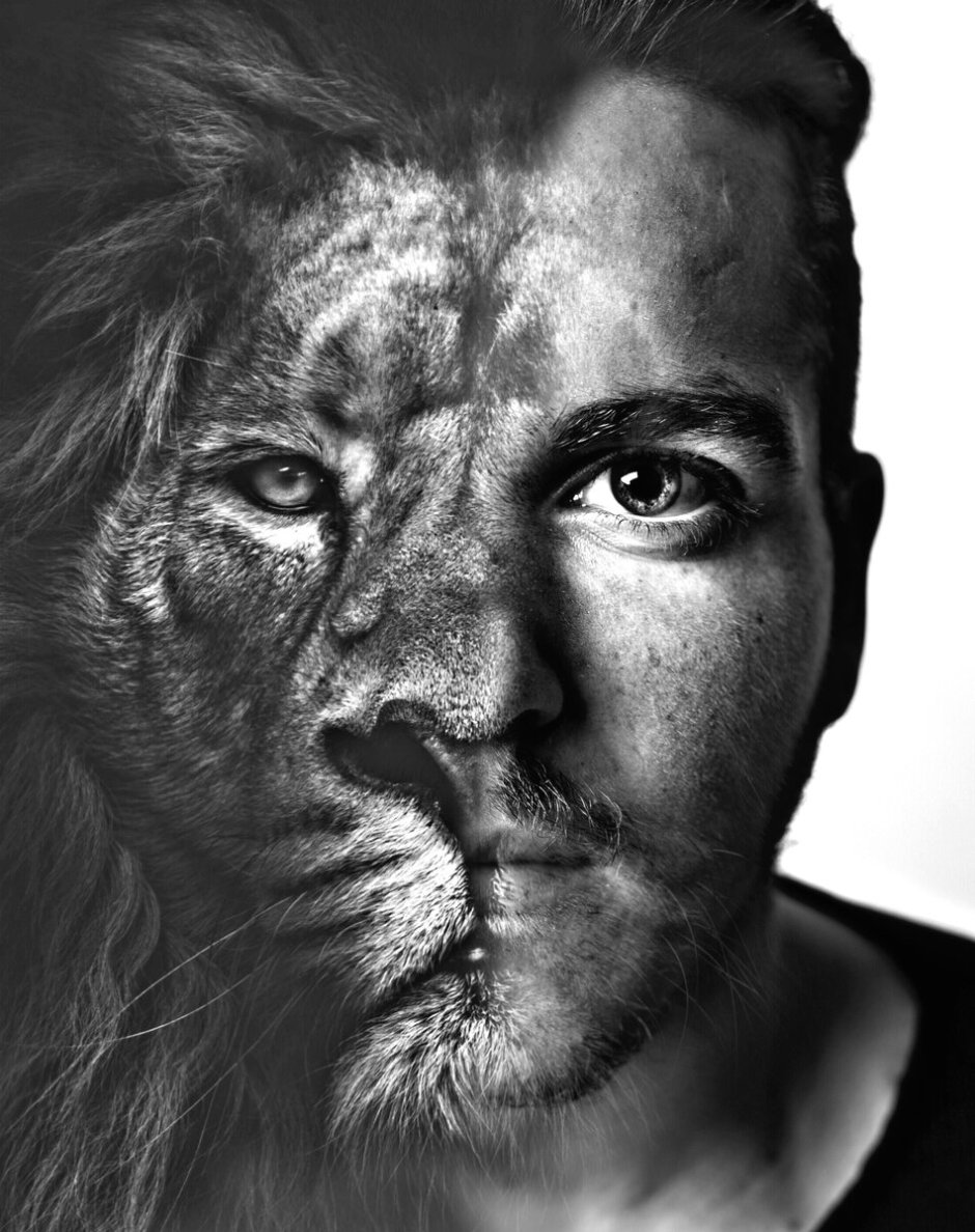 Львица портрет