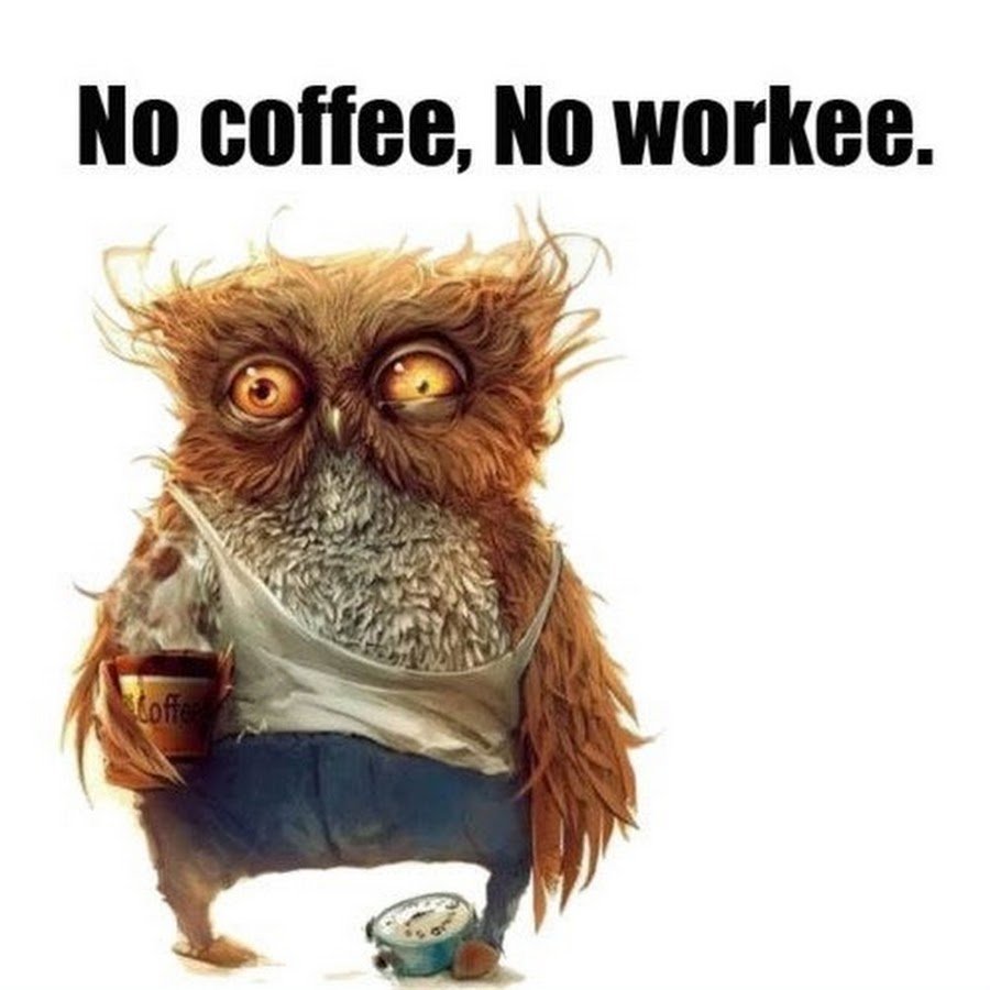 Зрачок Совы