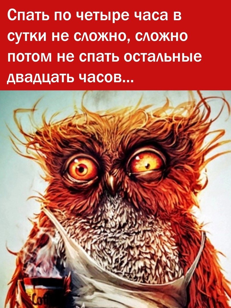 Уставшая Сова