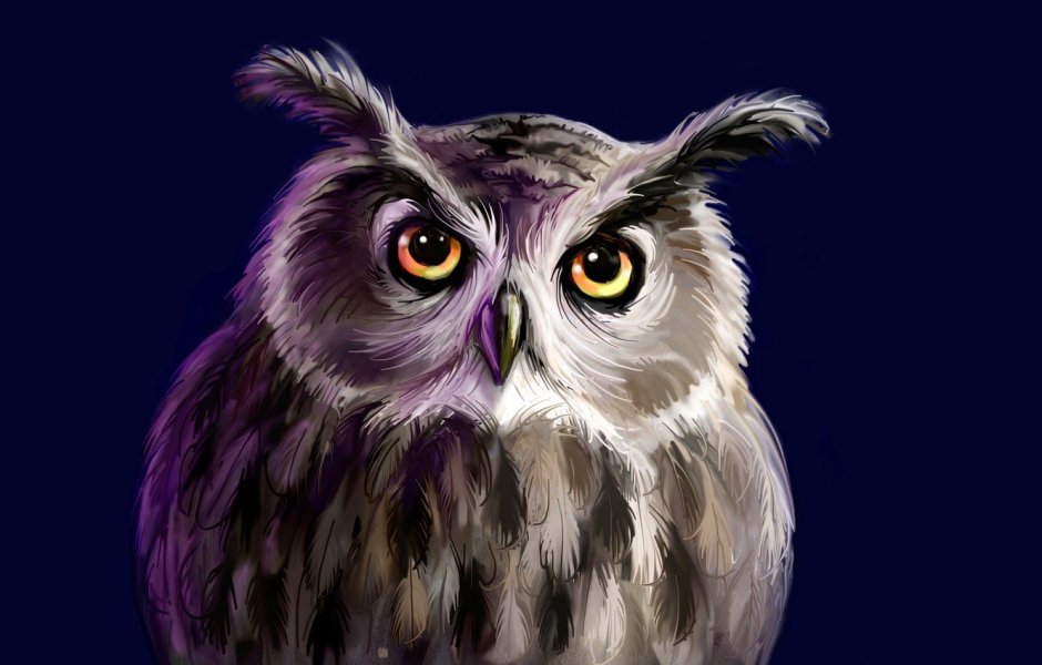 Невыспавшаяся Сова