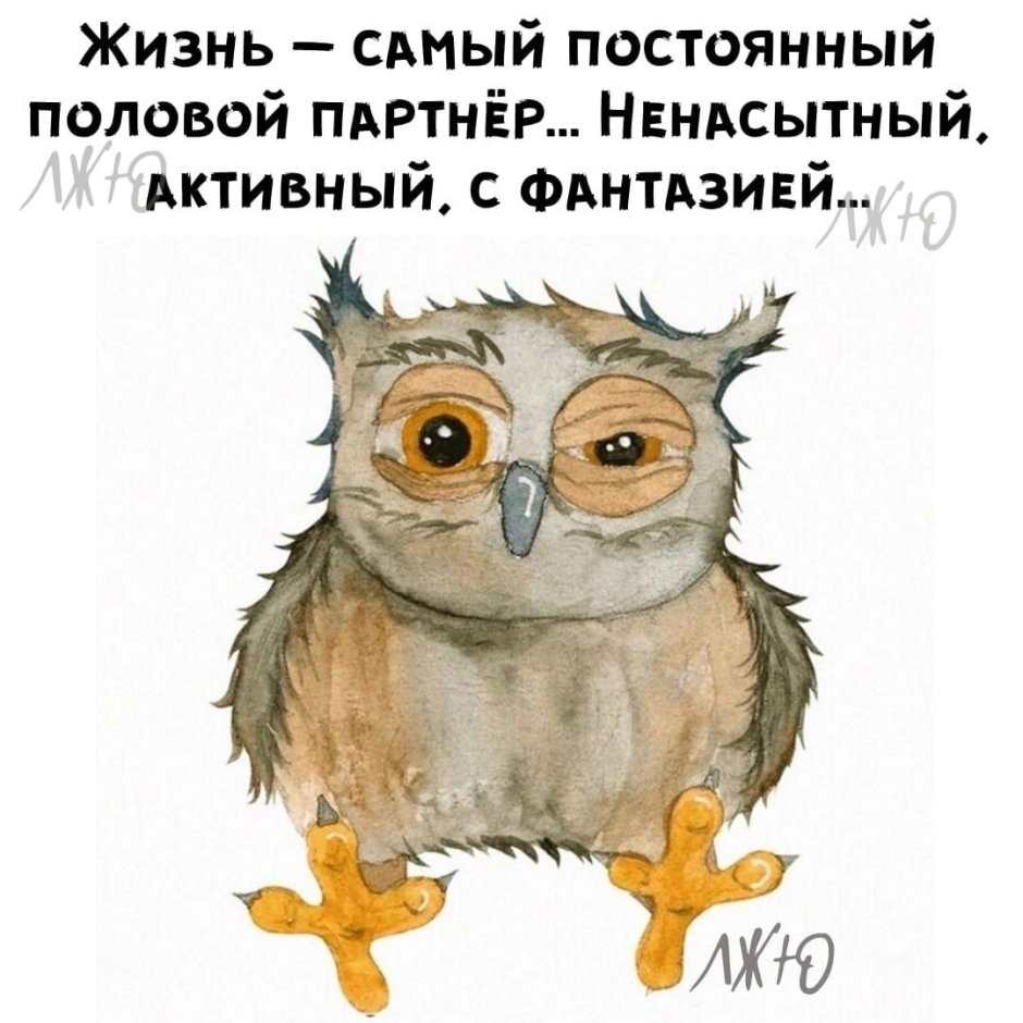 Сонная Сова