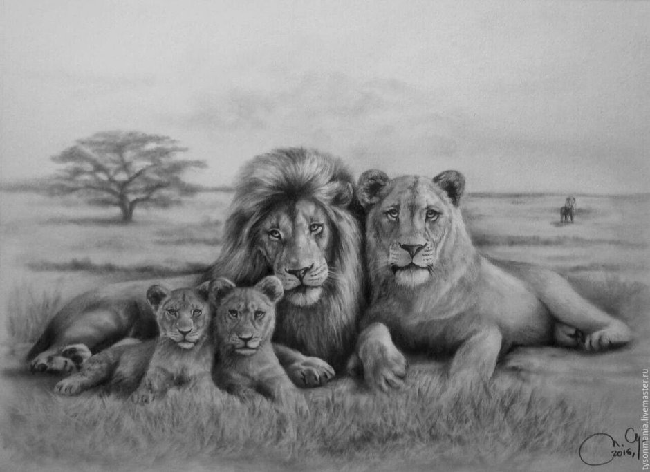 Занятия любовью у животных