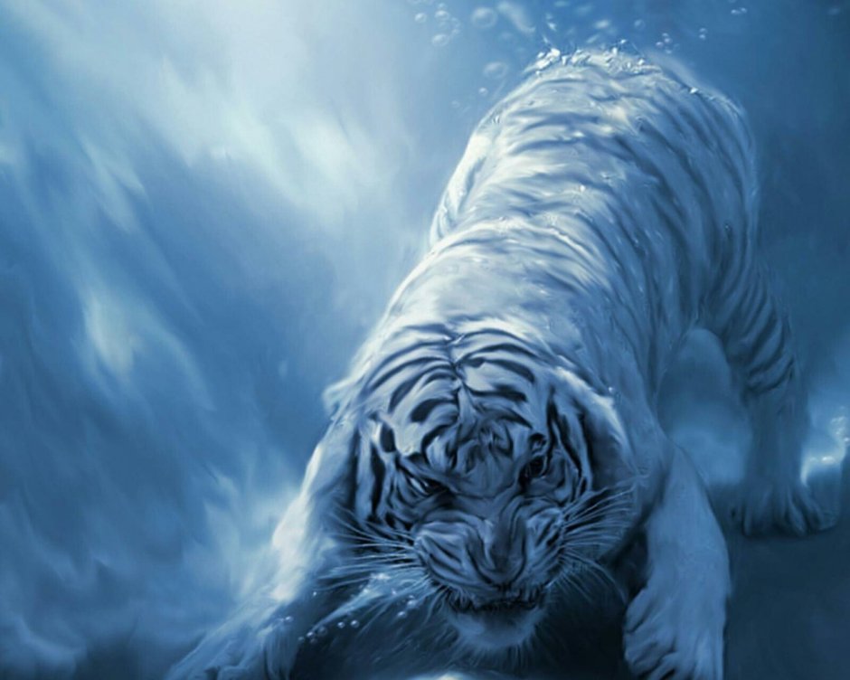 Тигр в воде